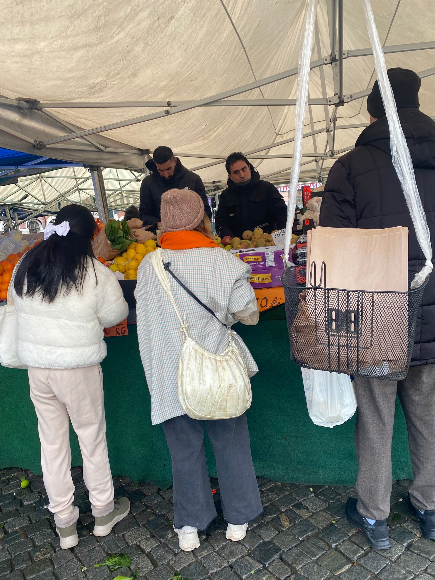 Lola bag in botanically printed silk